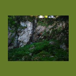 2012-08-09_01Fischunkel-Alm_Wasseralm (242).JPG